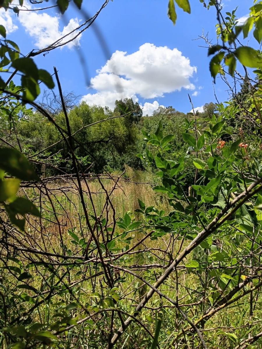 0 Bedroom Property for Sale in Senekal Free State